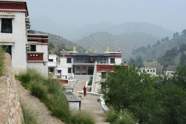 Wudang 5 Monk