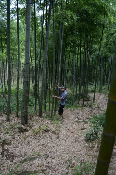 Our guide, Amj, striking a pseudo Bollywood pose.