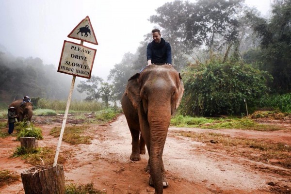 Elephant Camp Activity: Mahout Training