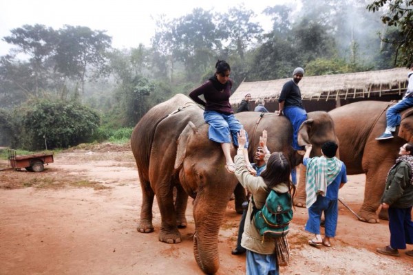 Mahout Training 3